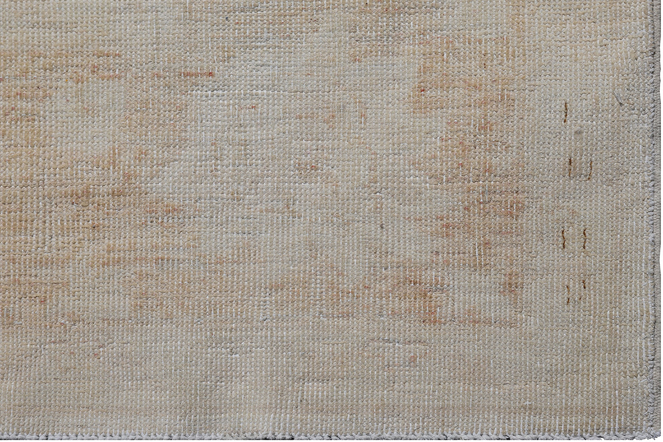 6x9 Ariana Vintage Collection Pale rug
