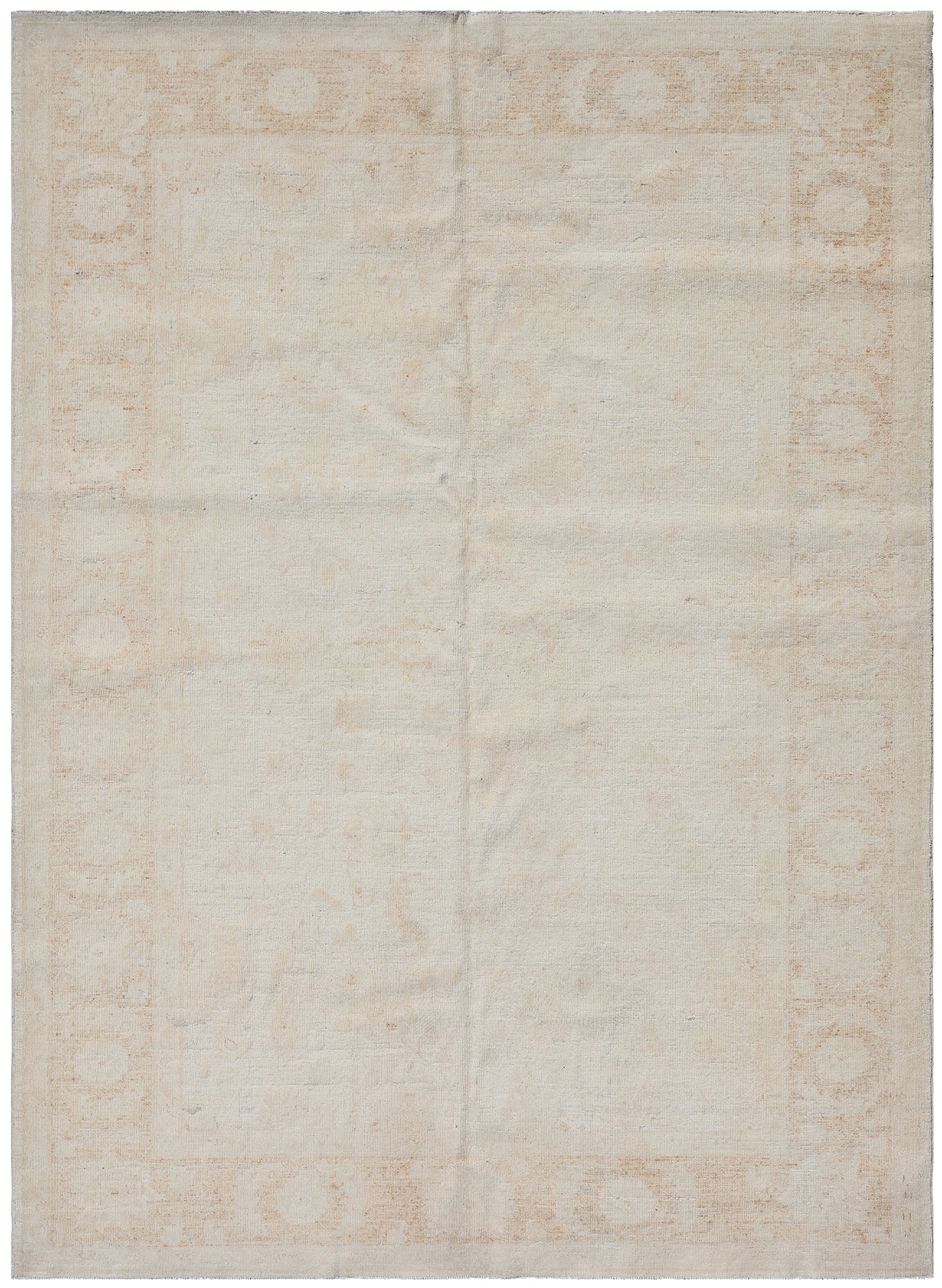 6x9 Ariana Vintage Collection Pale rug