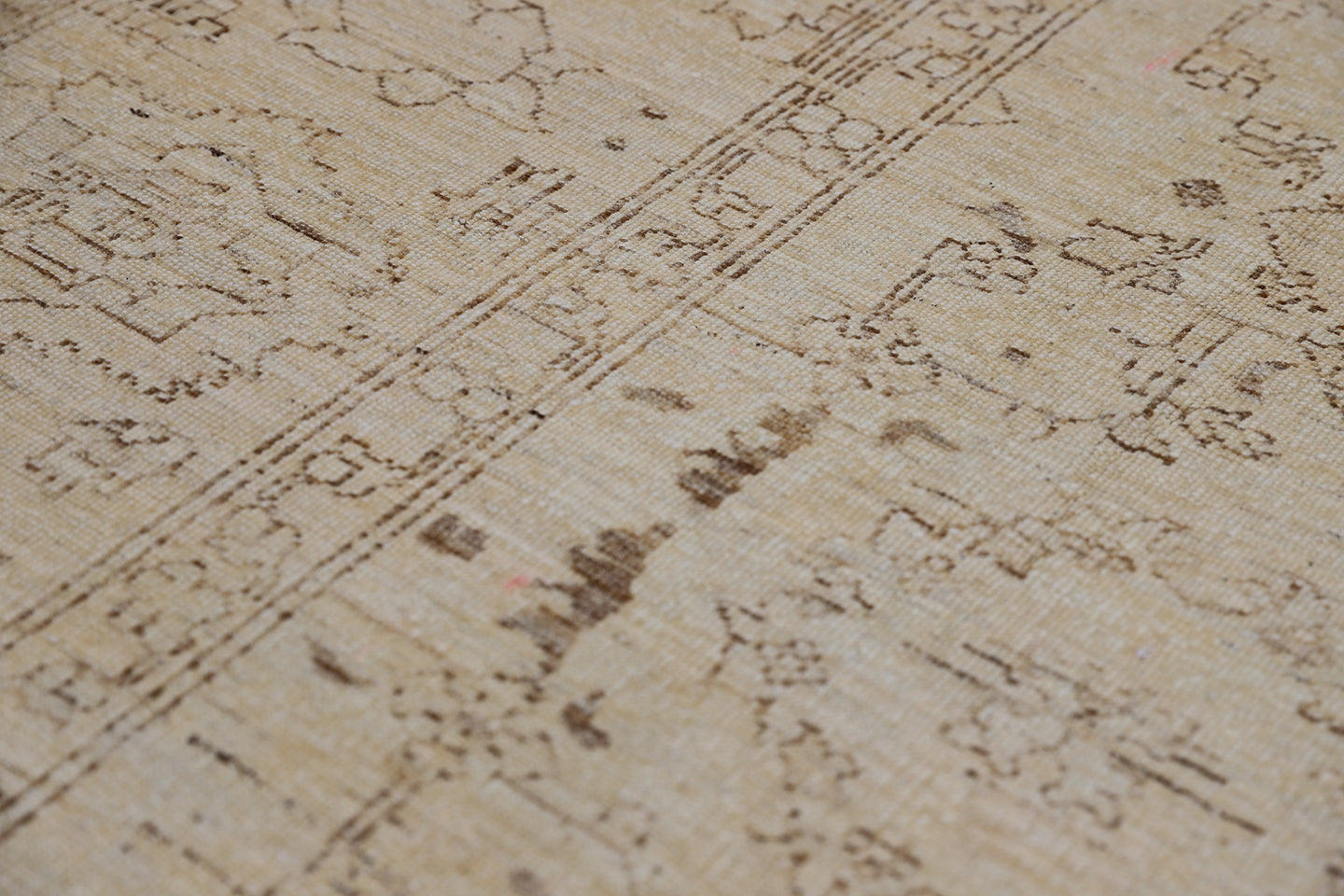 10'x8' Soft and Muted Agra Design Ariana Transitional Area Rug