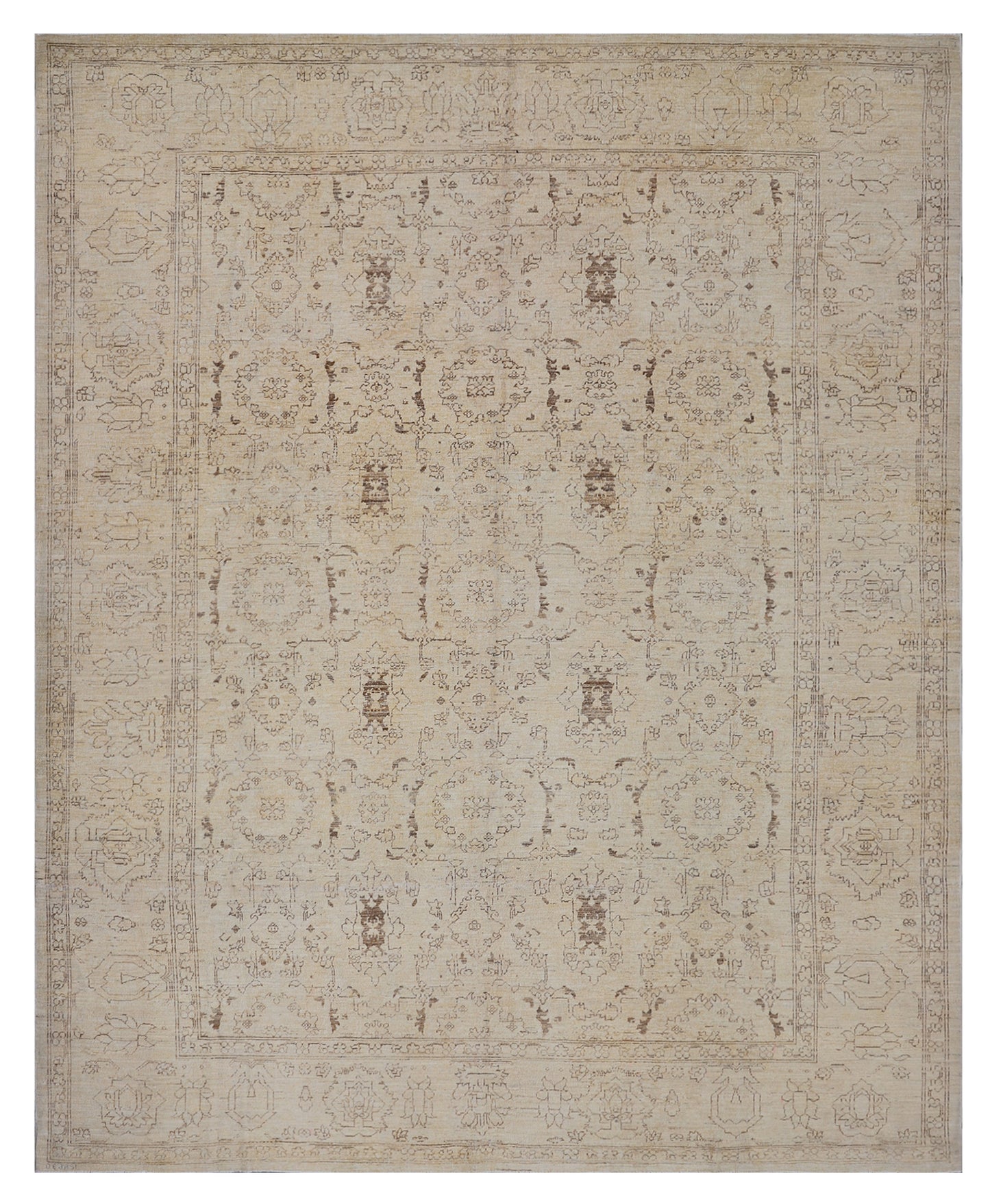10'x8' Soft and Muted Agra Design Ariana Transitional Area Rug