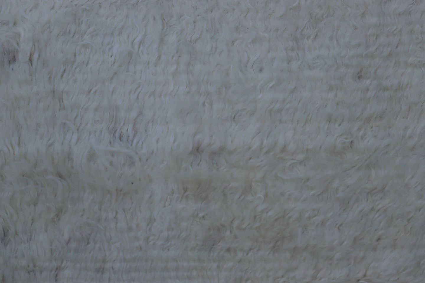 9'x12' Ariana Barchi Rug