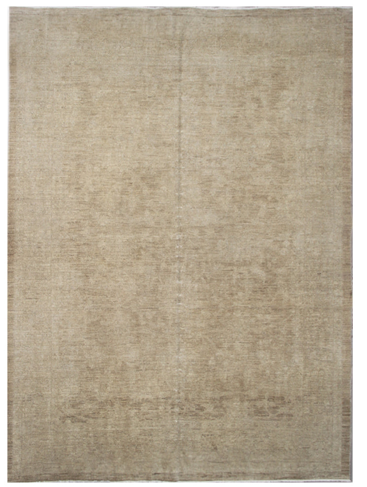 7x9 Ariana Traditional Rug