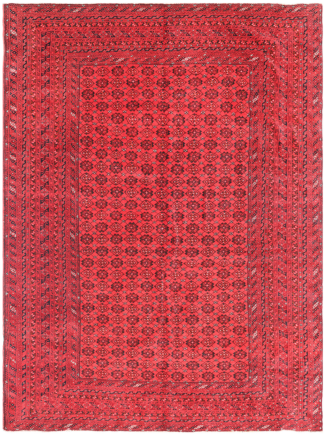 8'x12' Red Afghan Rug | Bashiri Design