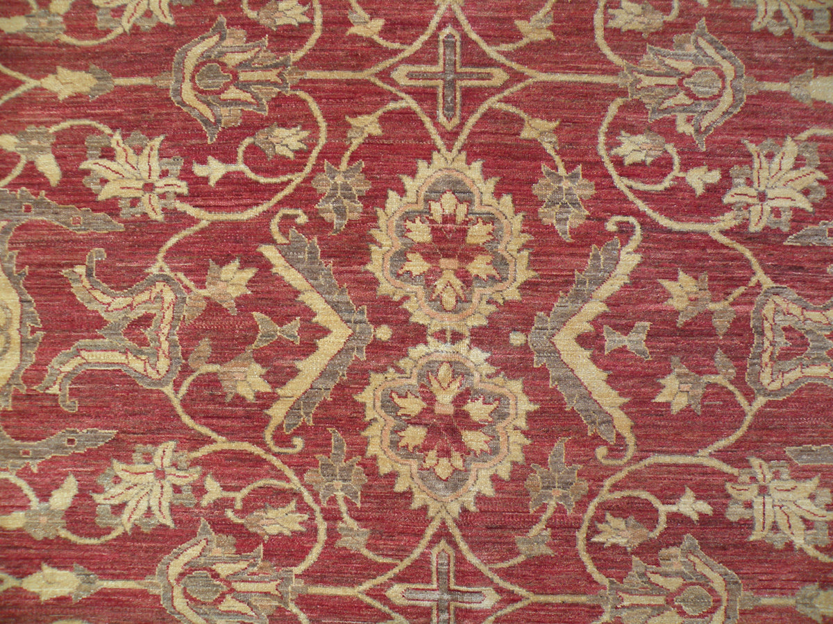 16x22 Large Red Zigler Dersig Ariana Traditional Rug