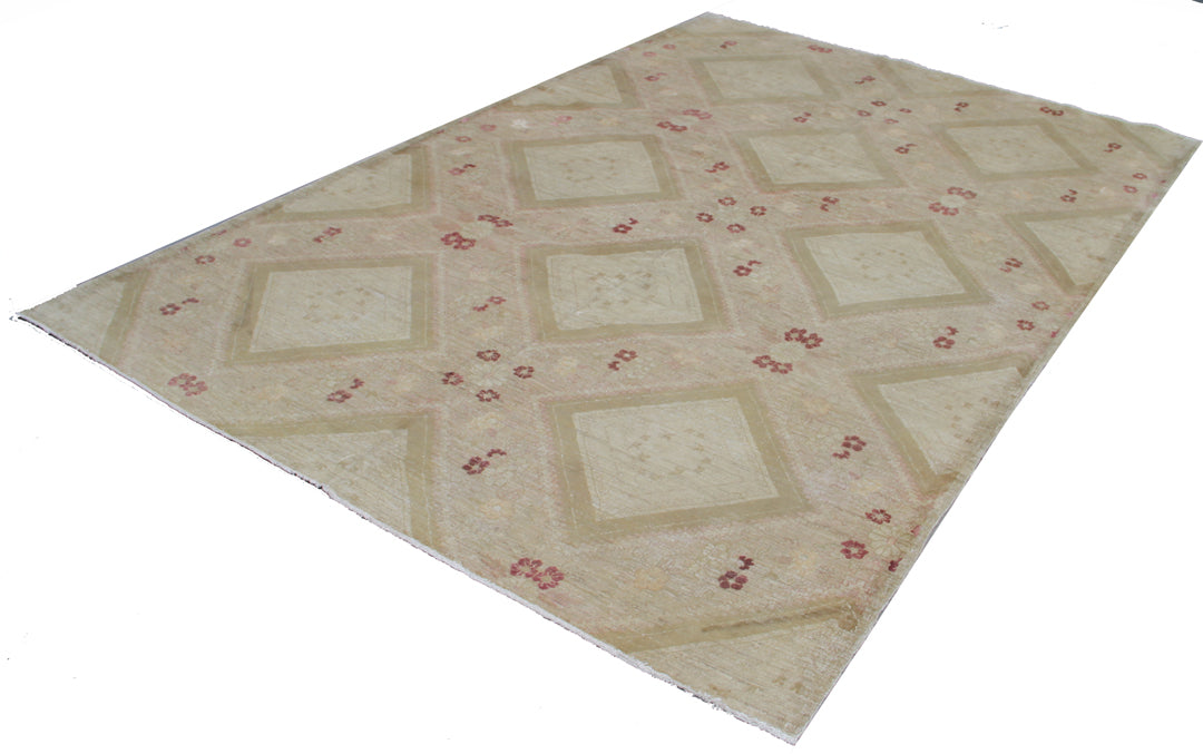 9.02 x 6.00 Ariana Traditional Rug