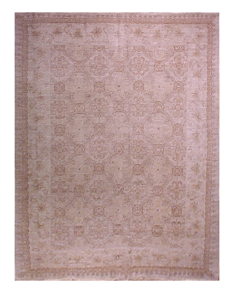 9.08 x 6.10 Ariana Traditional Area Rug