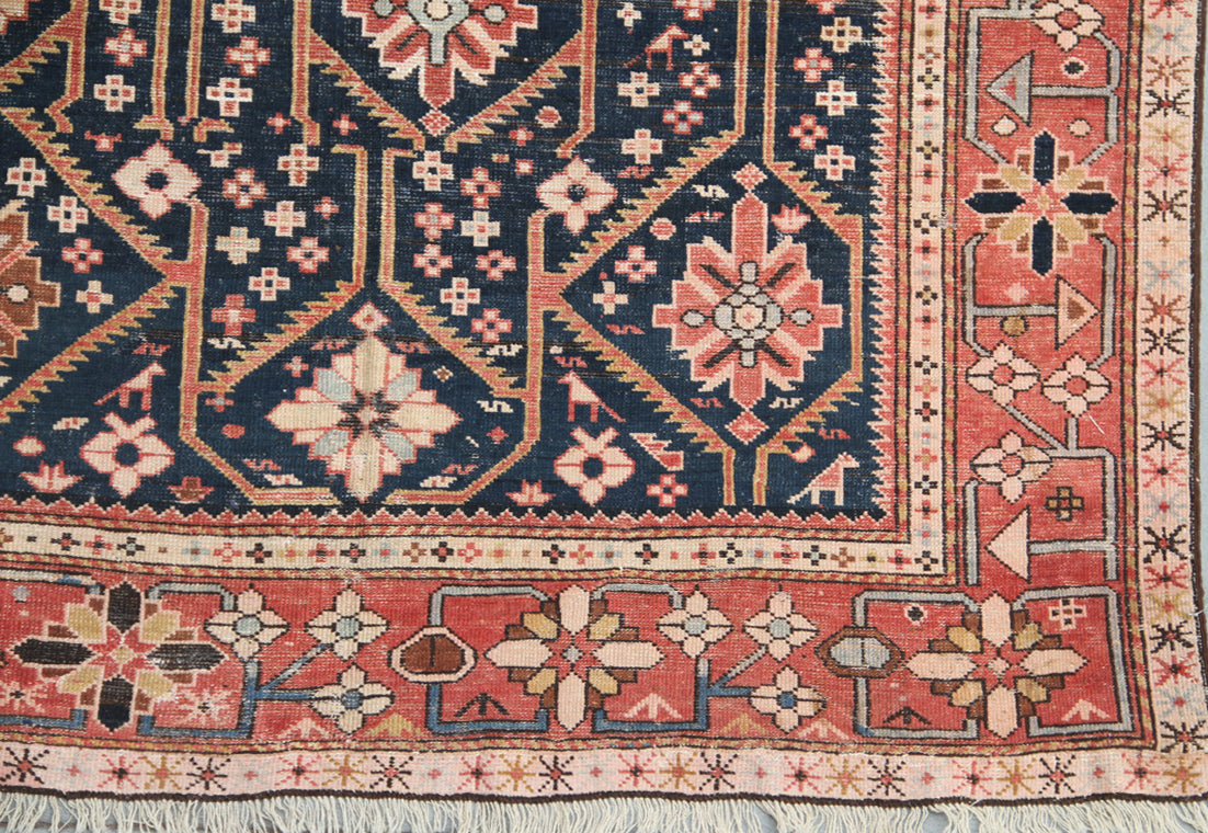 5'x11' Vintage Antique Shirvan Caucasian Area Rug
