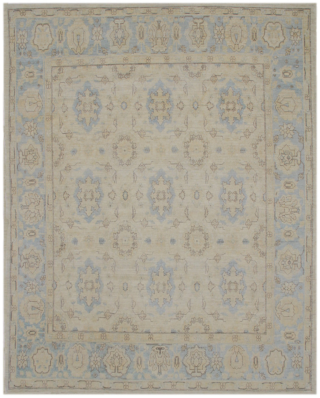 8'x10' Wool Rug | Soft Colors | Agra Rug | Ariana Traditional Area Rug