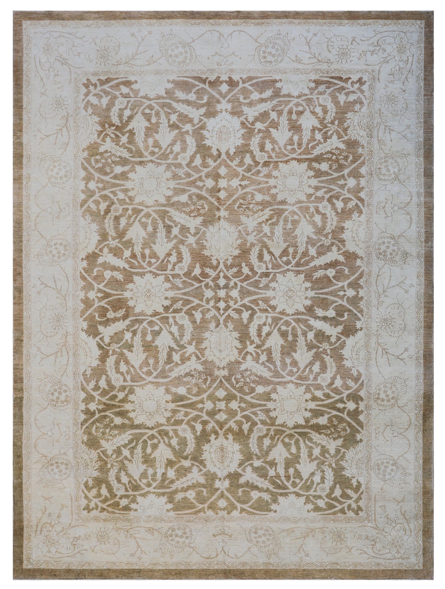 10'x14' Ariana Traditional Brown Ivory Rug