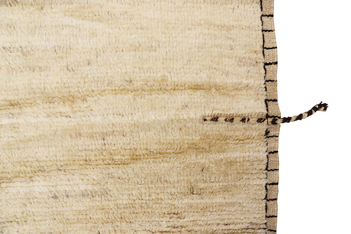 10'x 14' Hand-Knotted Rug | Organic Wool Rug | Undyed Earth Tones