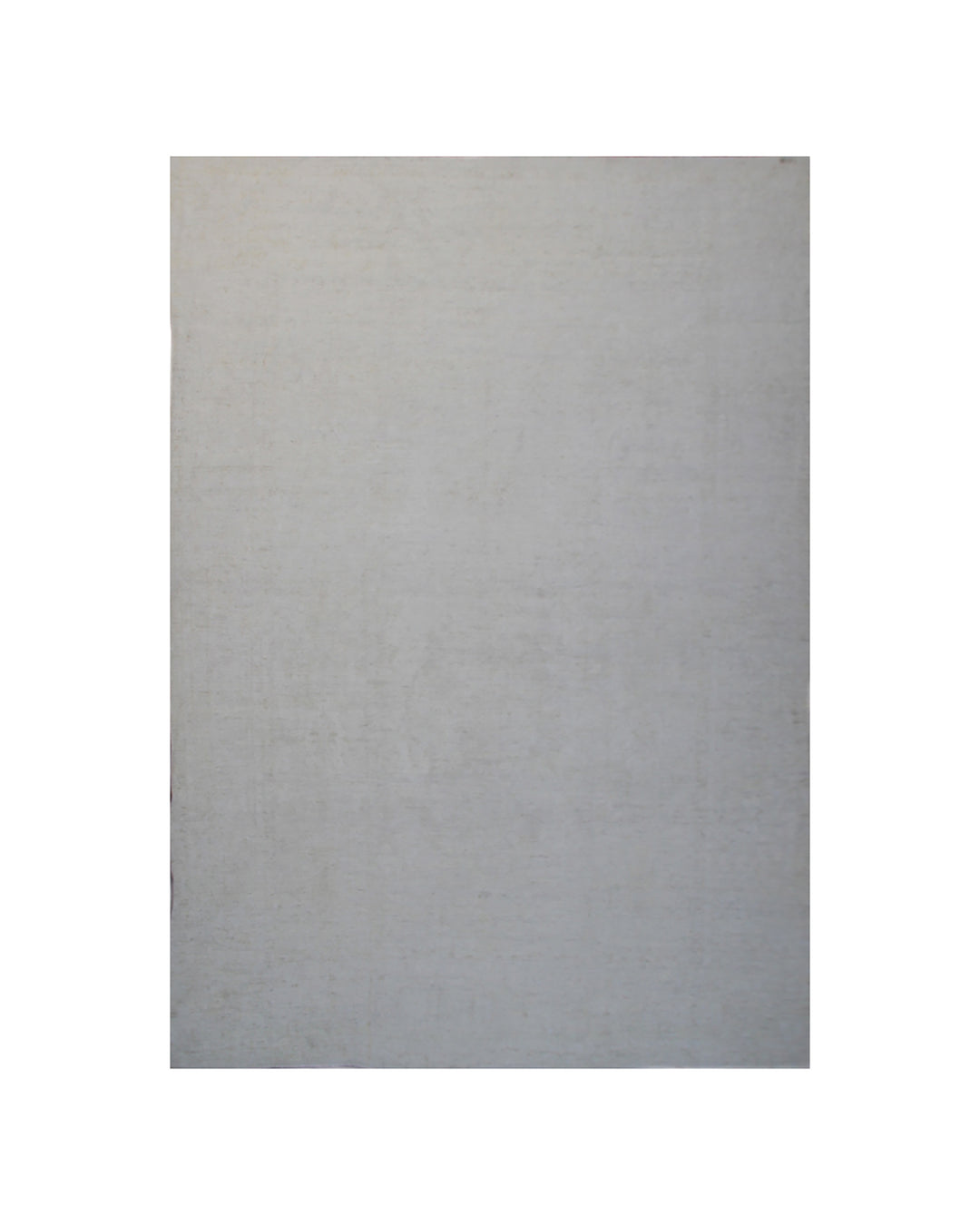 10'x14' Pale Wool Area Rug | Ariana Agra Design Rug