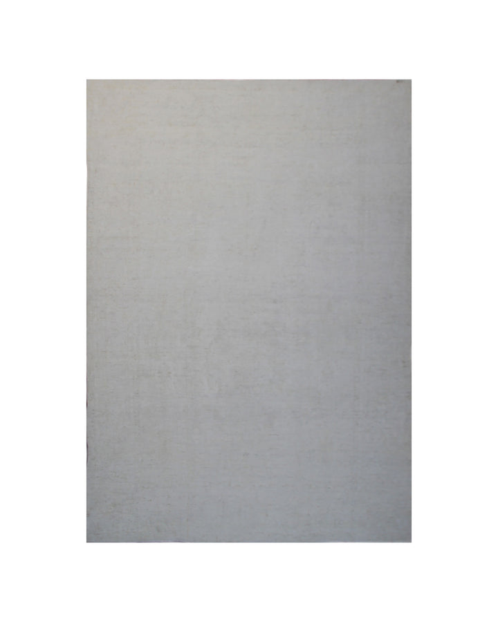 10'x14' Pale Wool Area Rug | Ariana Agra Design Rug