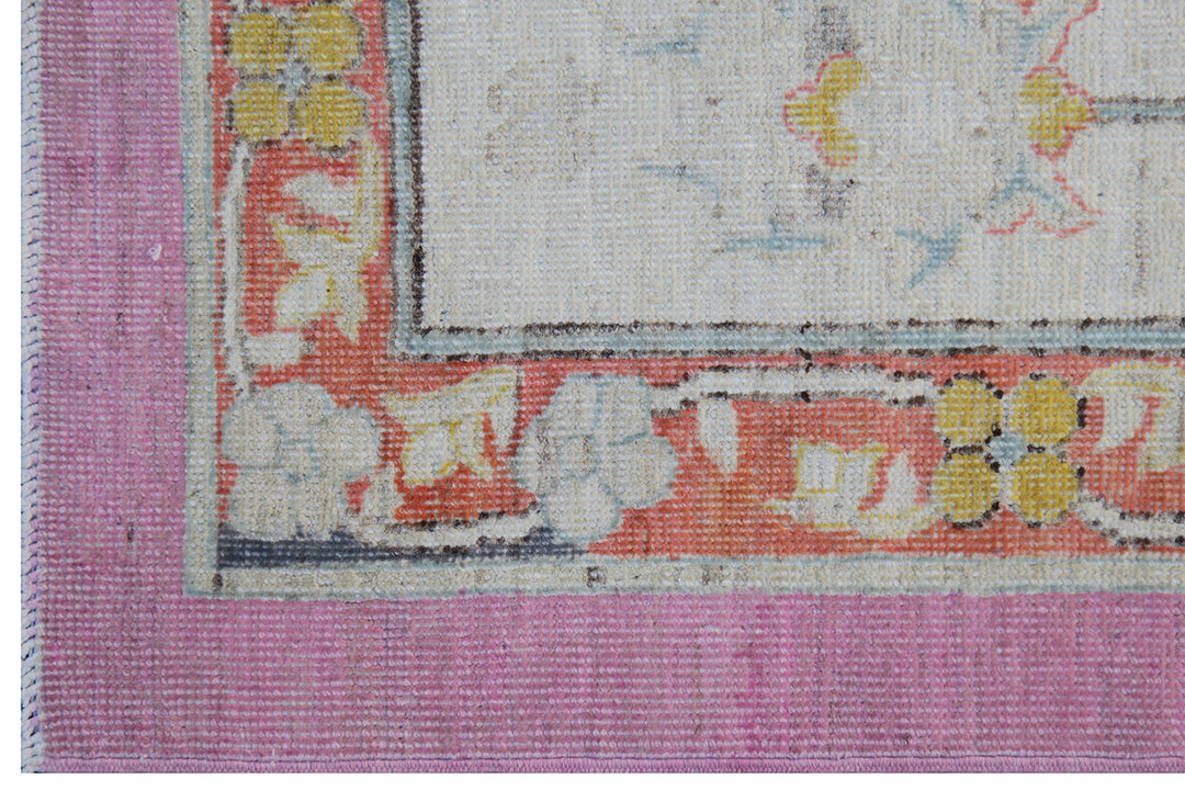 10'x14' Pink Area Rug | Agra Design | Ariana Transitional Rug