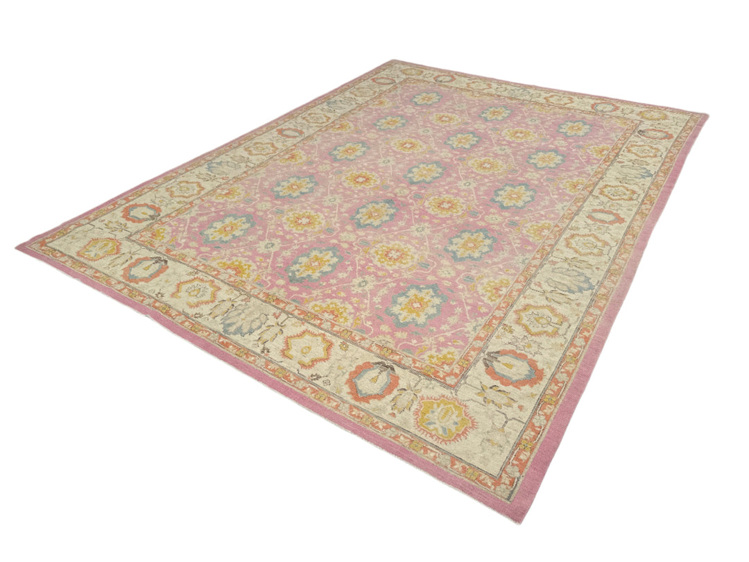 10'x14' Pink Area Rug | Agra Design | Ariana Transitional Rug