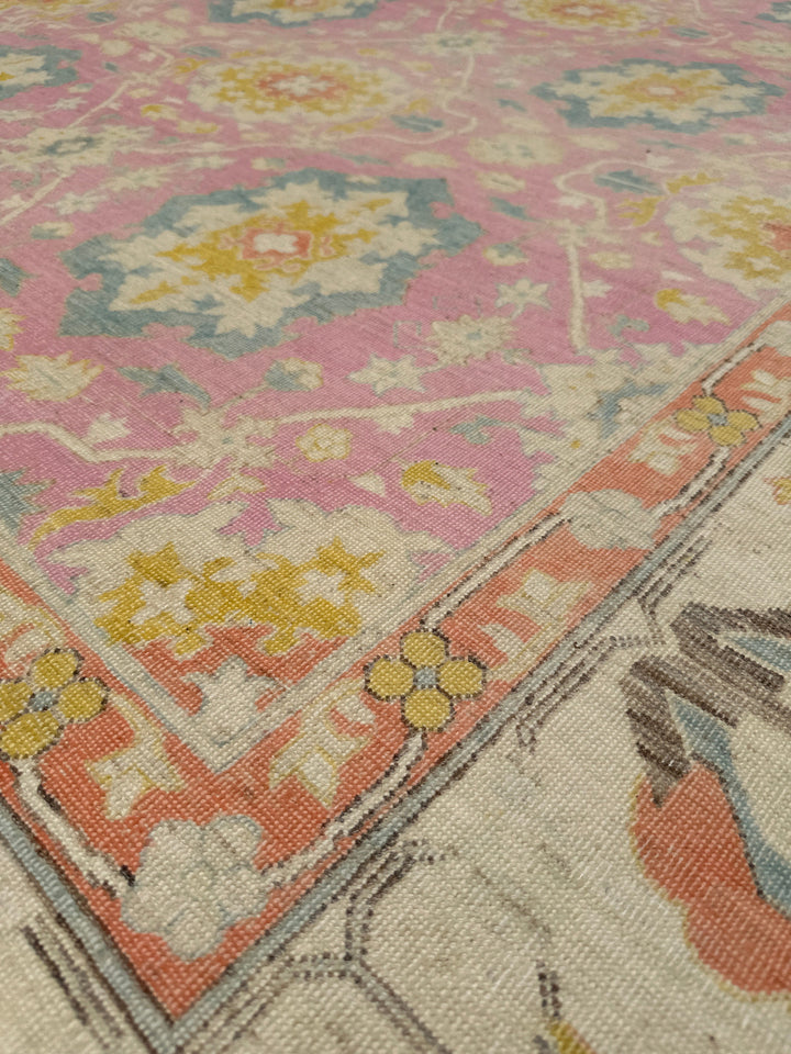 10'x14' Pink Area Rug | Agra Design | Ariana Transitional Rug