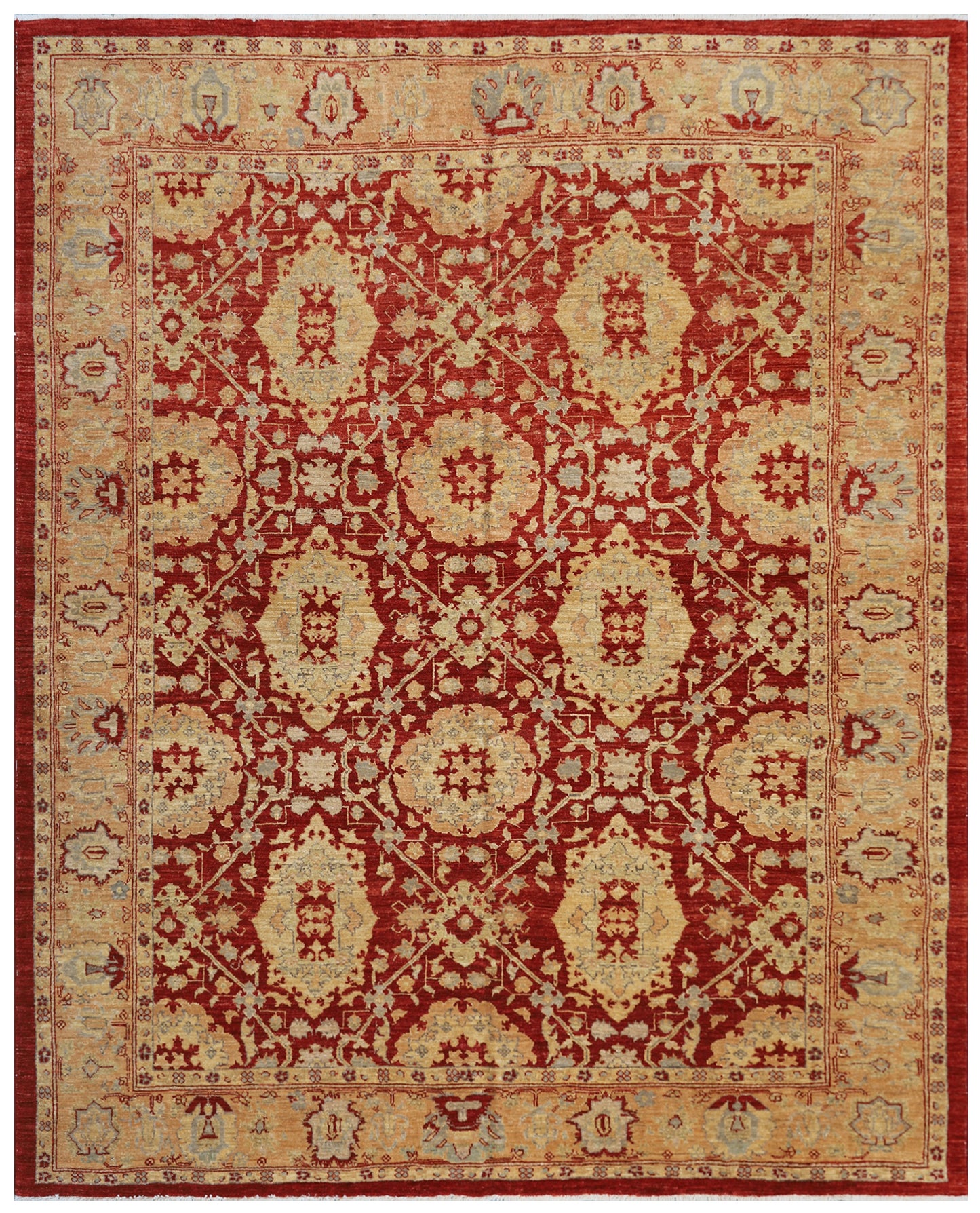 7x9 Red Agra Design Ariana Traditional Rug