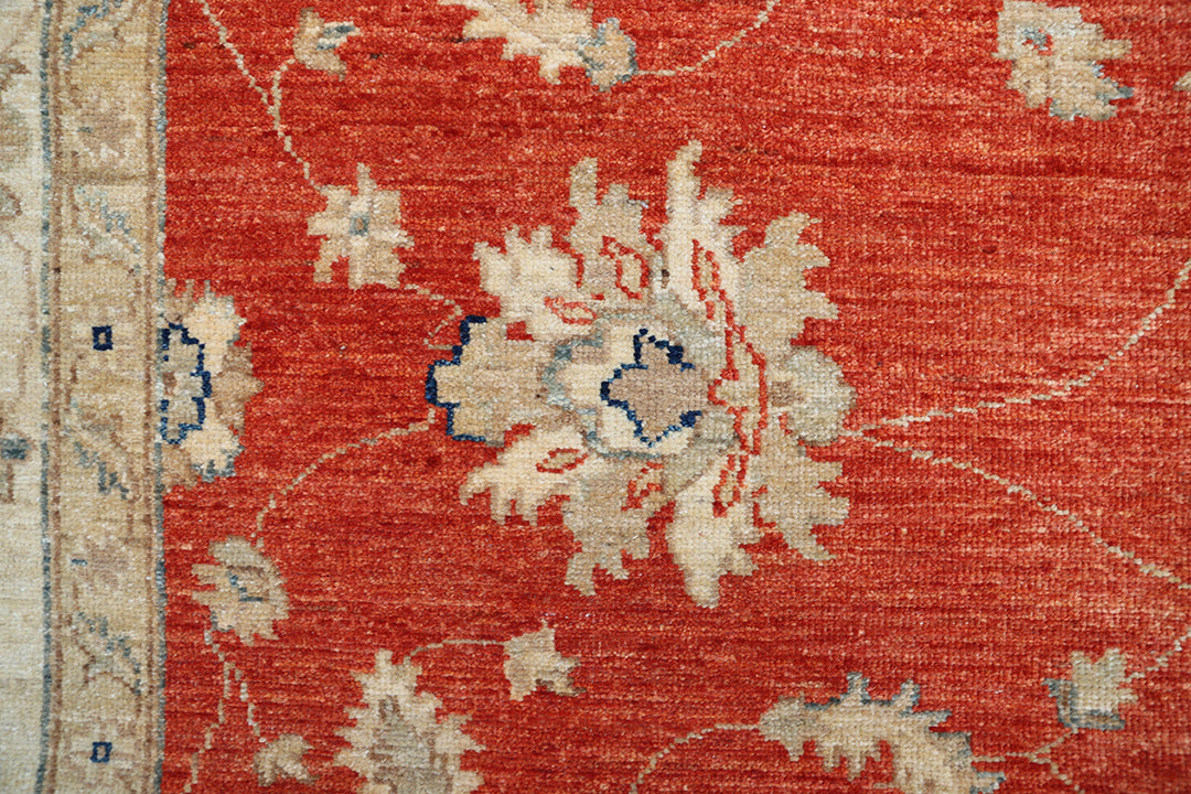 6'x8' Wool Area Rug | Traditional Agra Design Rug