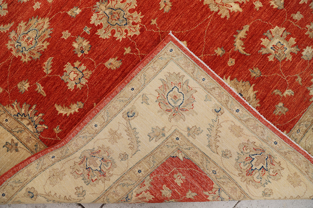 6'x8' Wool Area Rug | Traditional Agra Design Rug