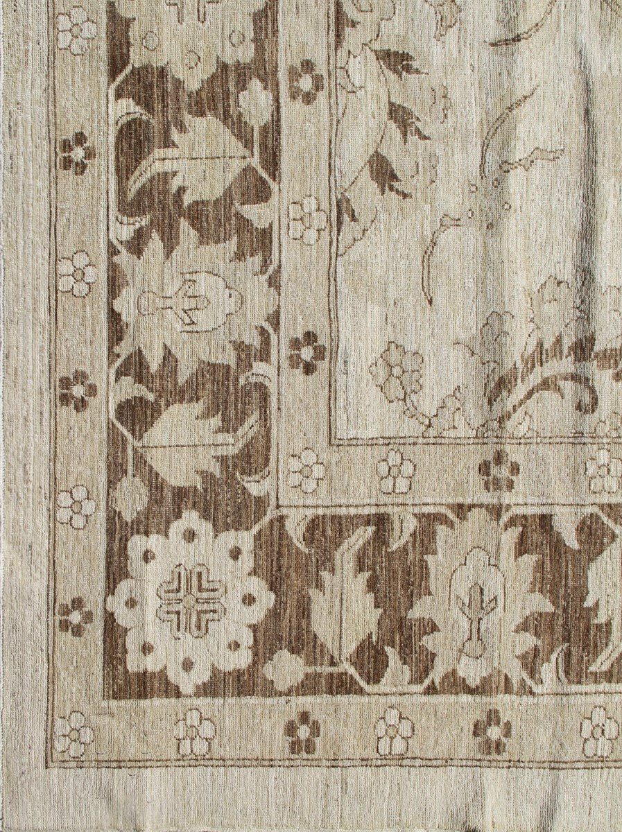 12'x9' Ariana Traditional Agra Design Hand Knotted Wool Rug