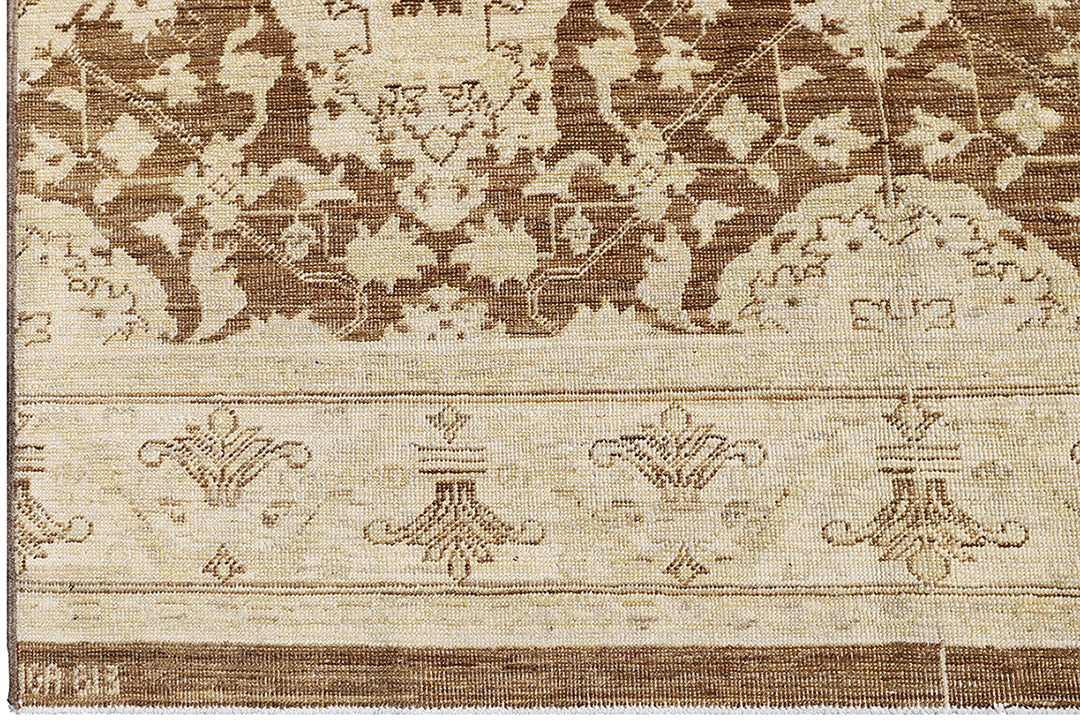 Area Rug | Ariana Transitional