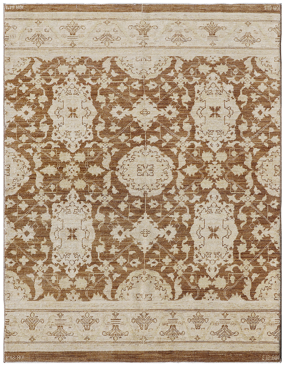 Area Rug | Ariana Transitional