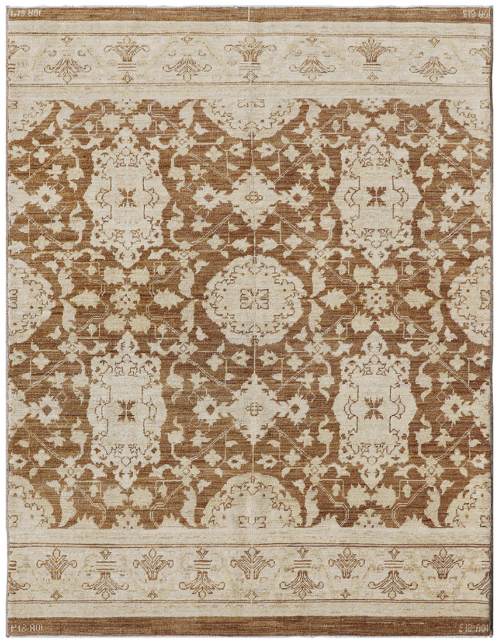 Area Rug | Ariana Transitional