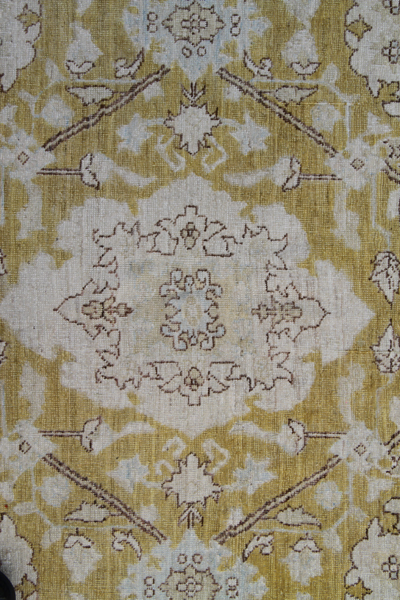 9'x12 Gold Agra 505 Design Ariana Traditional Rug
