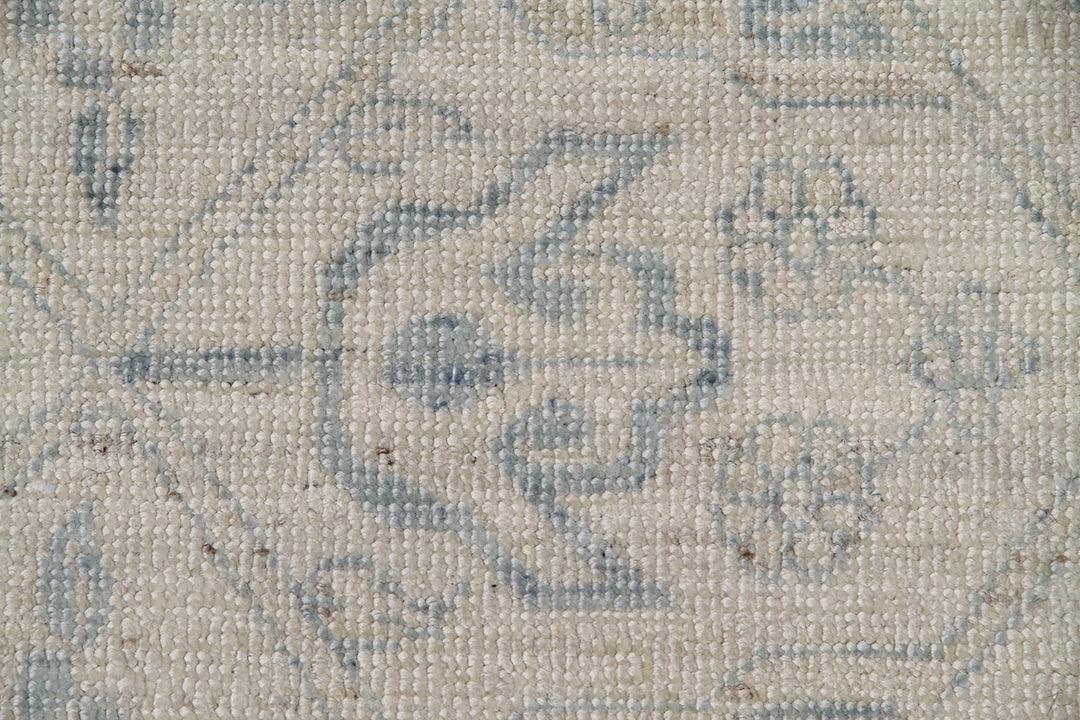 14'x10' Ariana Transitional Agra Design Hand Knotted Wool Rug