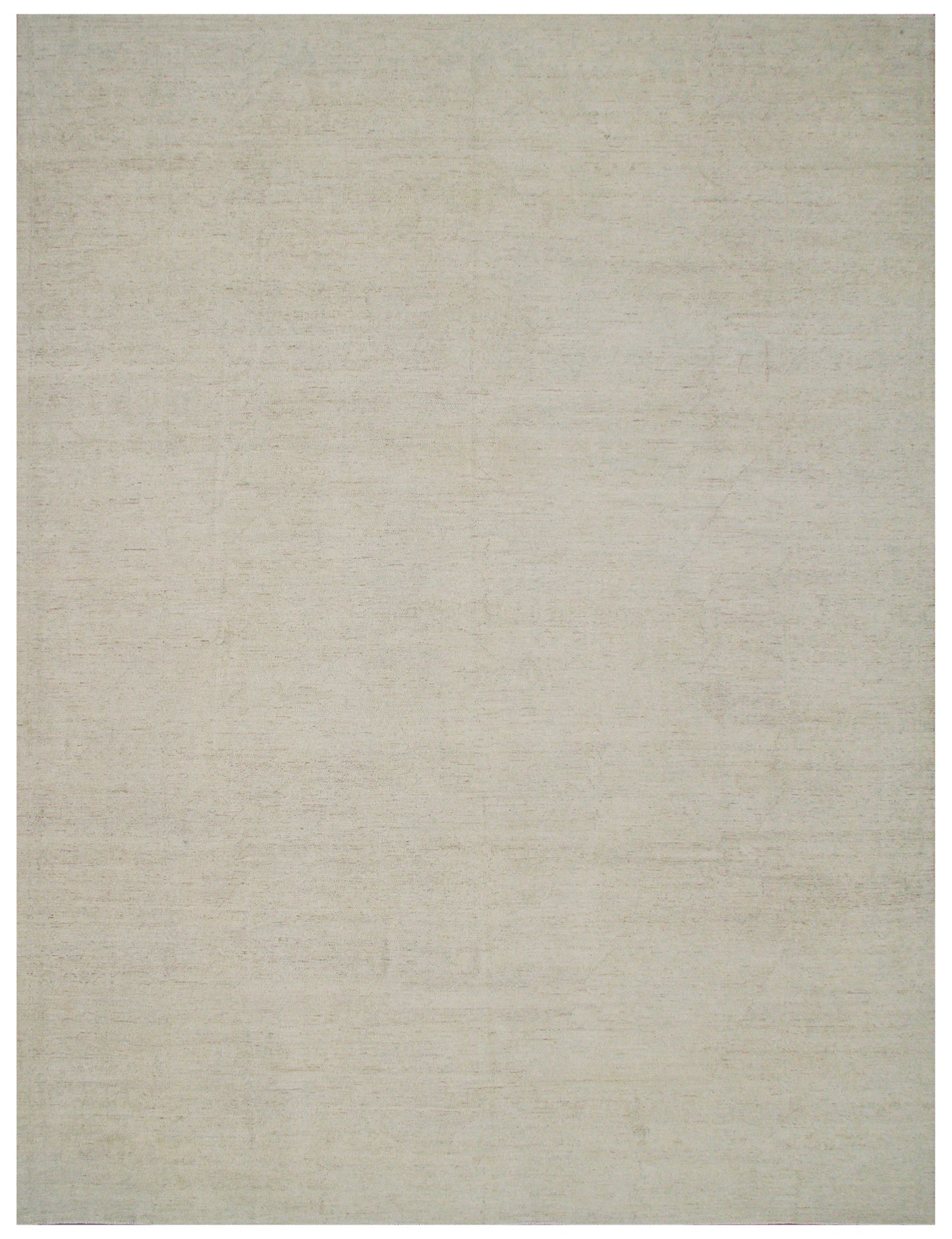 10'x14' Very Pale Ariana Transitional Rug