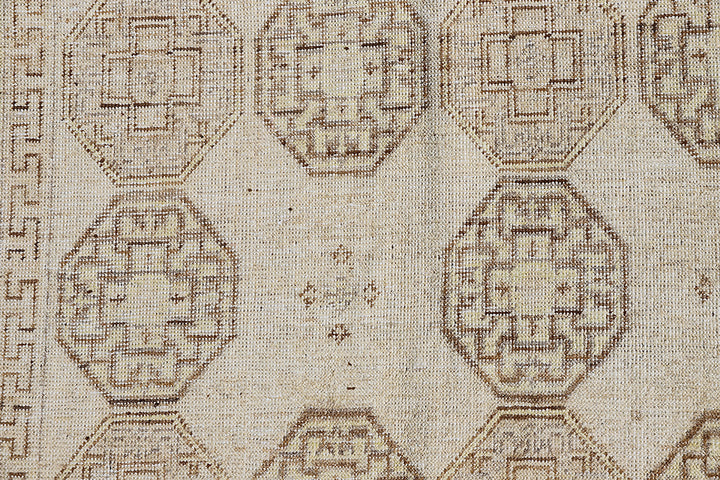 4'x6' Ariana Traditional Geometric Khotan Design Rug