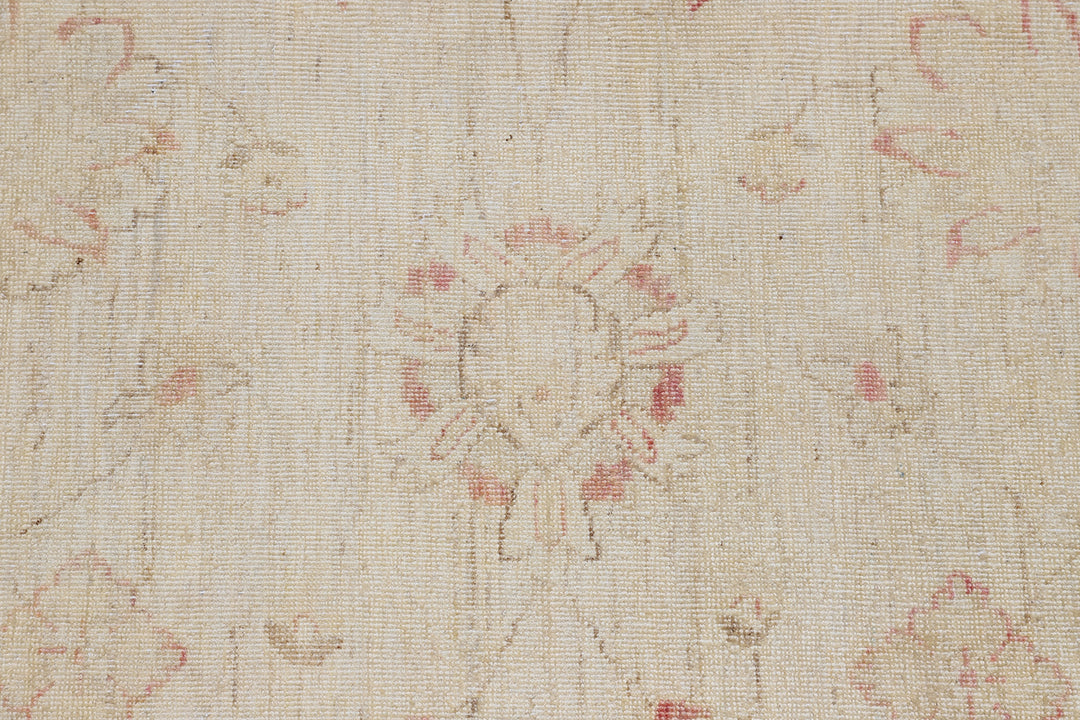 12'x9' Ariana Traditional Agra Design Rug