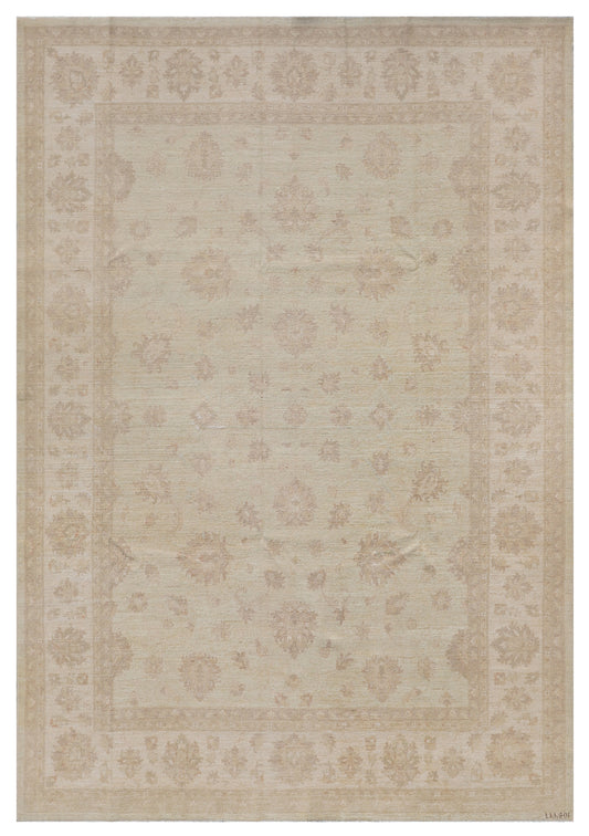 9'x12' Ariana Transitional Floral Design Rug