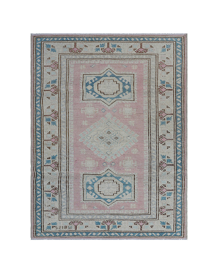 3'x4' Small Rug | Ariana Caucasian Design Hazara Rug