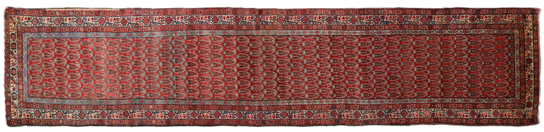 Antique Persian gallery runner (15'9" x 3'4") featuring a classic Paisley Boteh design on a red field with green, brown, and a wide white border.