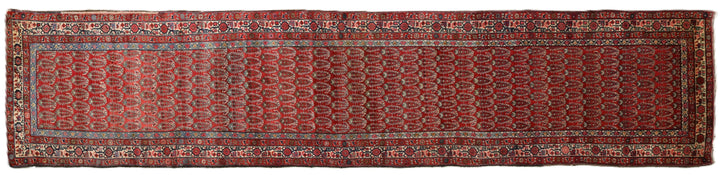 Antique Persian gallery runner (15'9" x 3'4") featuring a classic Paisley Boteh design on a red field with green, brown, and a wide white border.