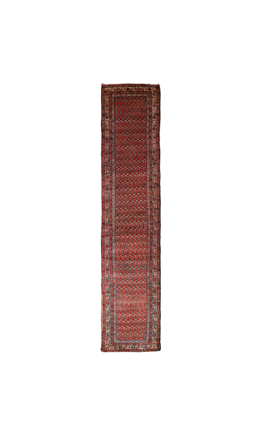 Antique Persian gallery runner (15'9" x 3'4") featuring a classic Paisley Boteh design on a red field with green, brown, and a wide white border.