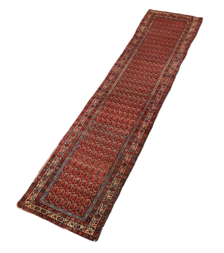 Antique Persian gallery runner (15'9" x 3'4") featuring a classic Paisley Boteh design on a red field with green, brown, and a wide white border.