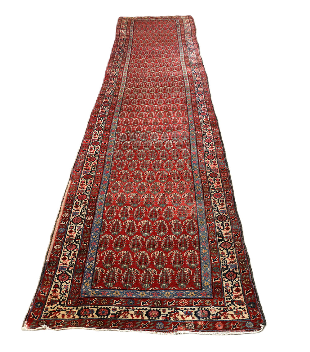 Antique Persian gallery runner (15'9" x 3'4") featuring a classic Paisley Boteh design on a red field with green, brown, and a wide white border.