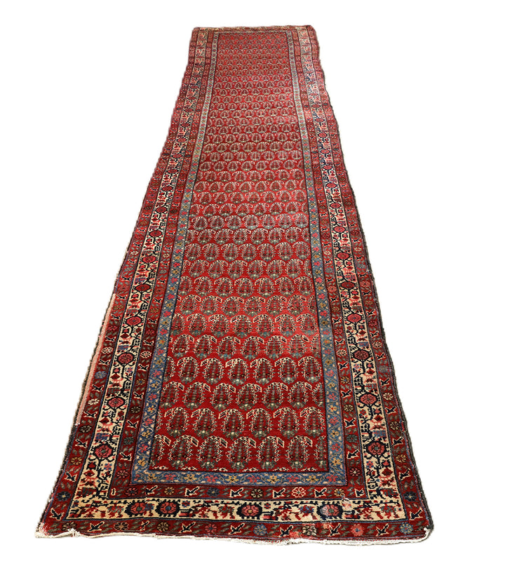 Antique Persian gallery runner (15'9" x 3'4") featuring a classic Paisley Boteh design on a red field with green, brown, and a wide white border.