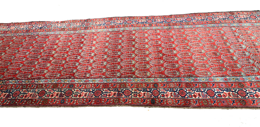 Antique Persian gallery runner (15'9" x 3'4") featuring a classic Paisley Boteh design on a red field with green, brown, and a wide white border.