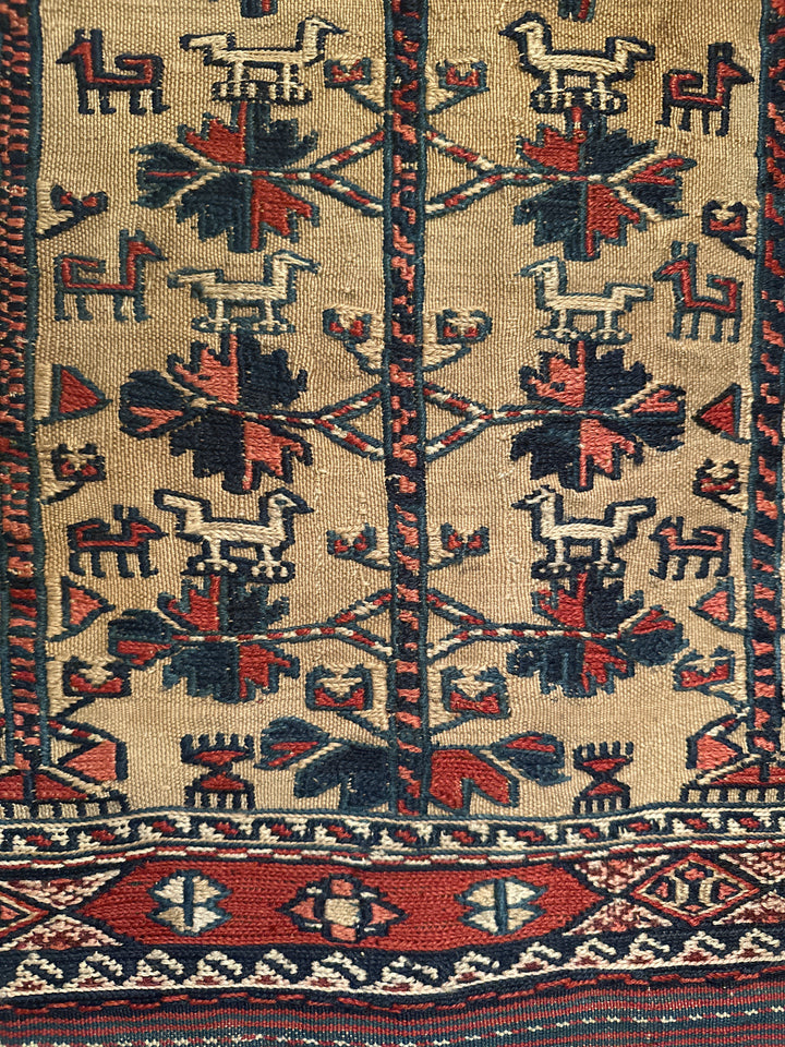 3'x5' Small Wool Area Rug |Afghan Baluch Rug