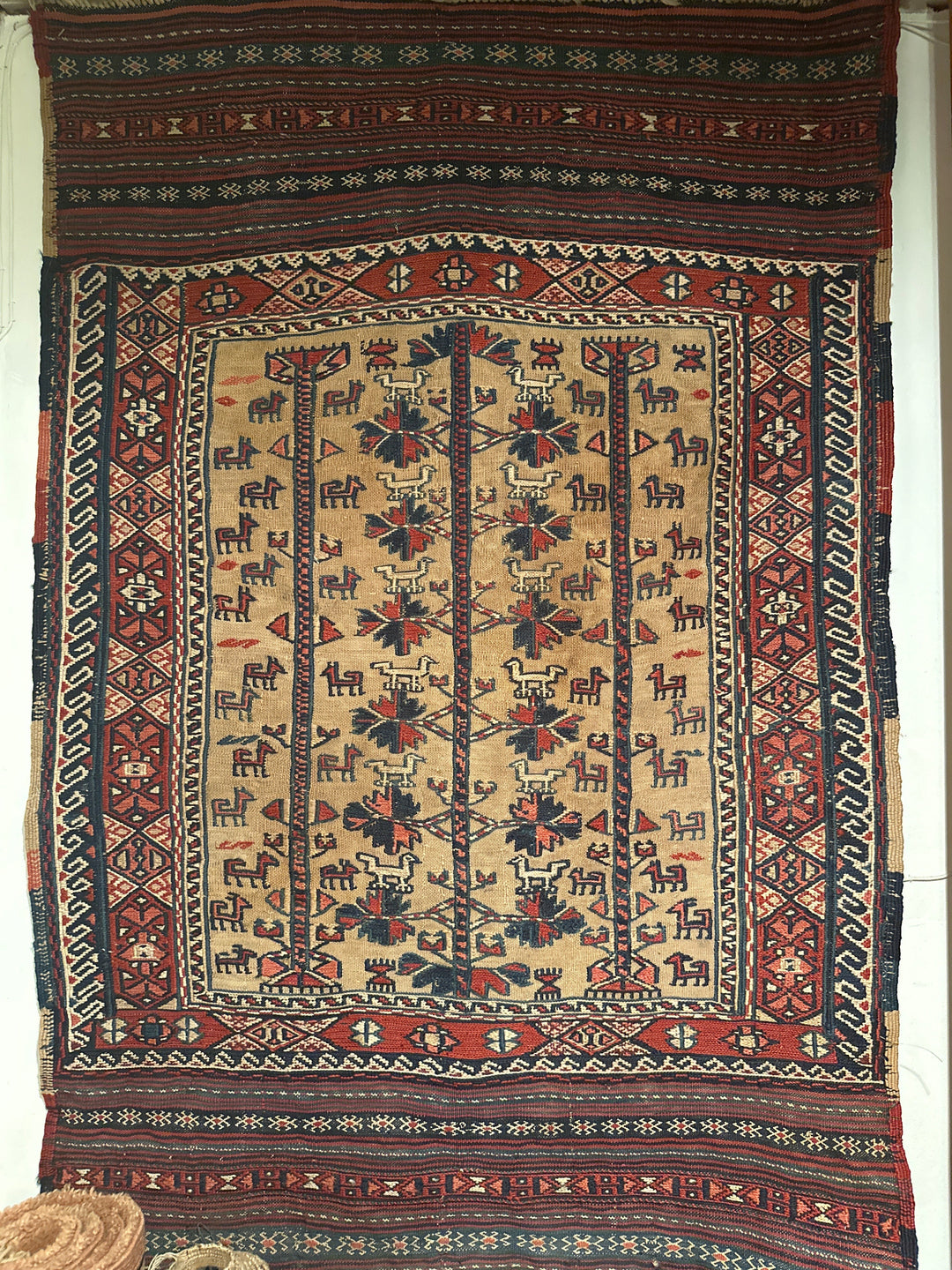 3'x5' Small Wool Area Rug |Afghan Baluch Rug