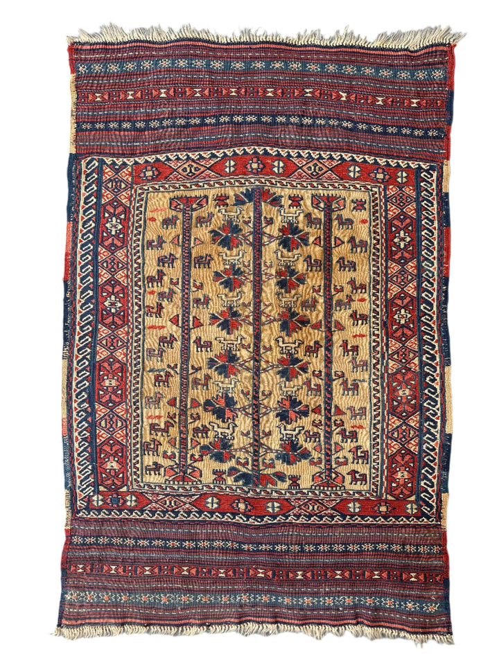 3'x5' Small Wool Area Rug |Afghan Baluch Rug