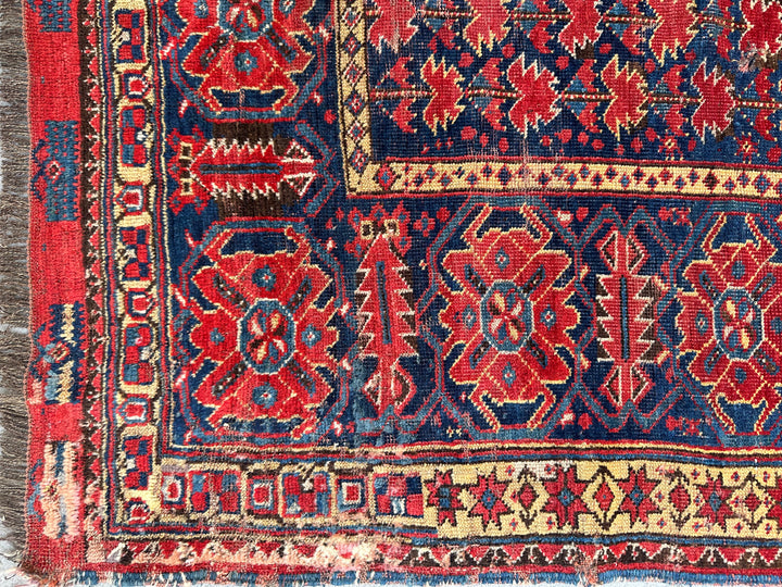 5'x9' Red and Blue Antique Collectable North Afghanistan Bashir Rug