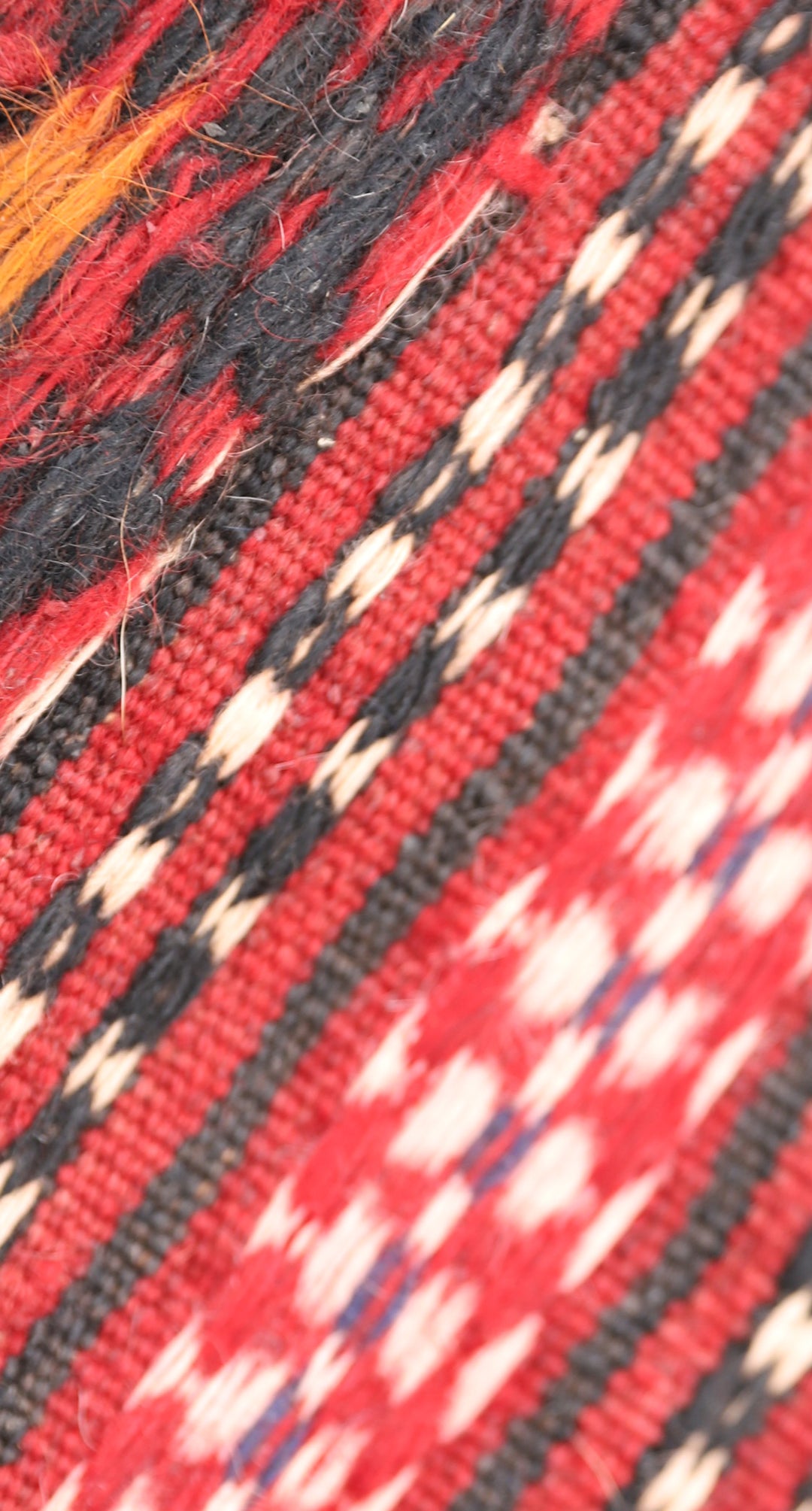 5'x10' Persian Kilim Rug | Handwoven Geometric & Animal Motif | Jewel Tone Luxury