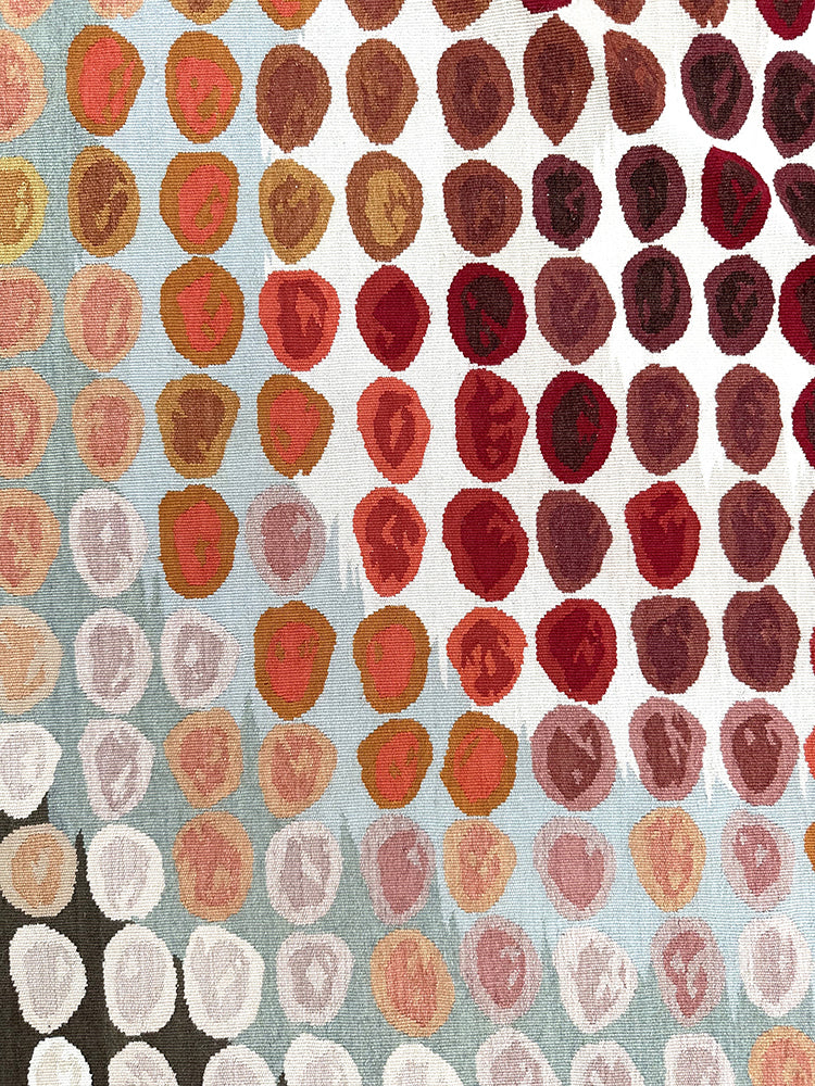 5'x5' Round Aubusson Rug | Hand-Woven Ariana Modern Rug