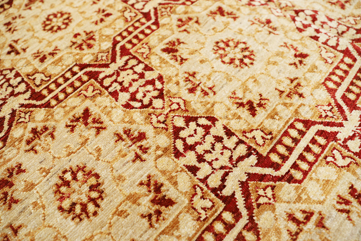 5'x7' Hand-knotted Area Rug | European Design Rug