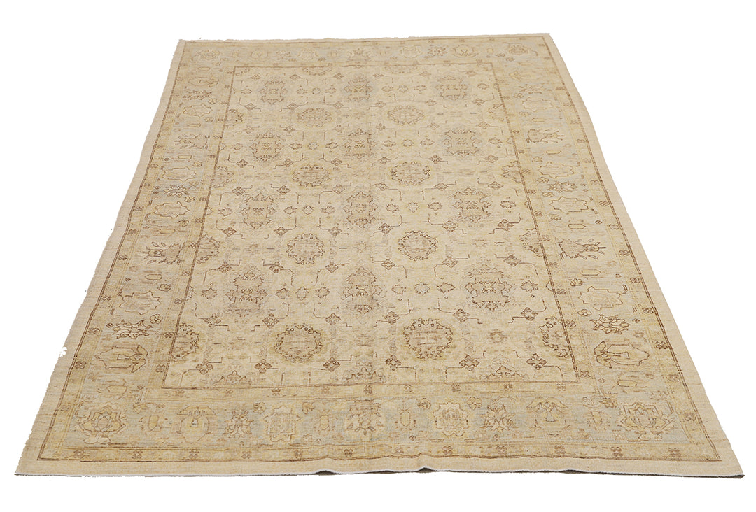6'x10' Hand-Knotted Afghan Wool Rug | Agra Design in Soft Tones Medium Size Rug