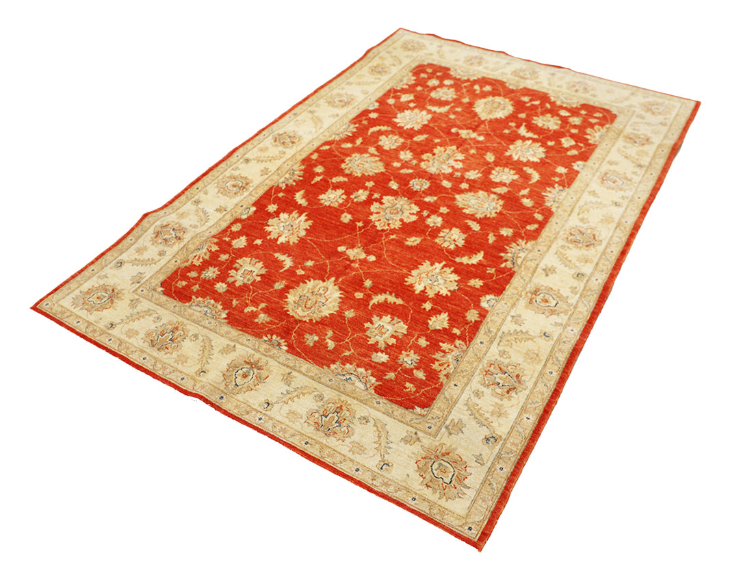6'x8' Wool Area Rug | Traditional Agra Design Rug