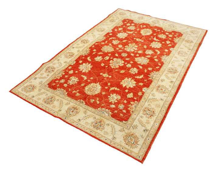 6'x8' Wool Area Rug | Traditional Agra Design Rug